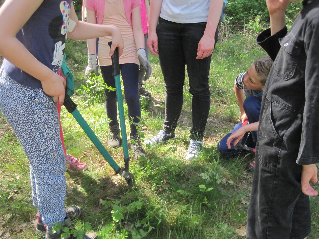 Werken in het Griesbroek samen met de mensen van Natuurpunt